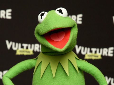 Kermit the Frog for Vulture