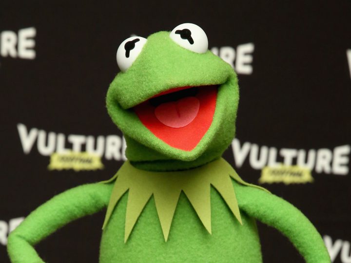 Kermit the Frog for Vulture