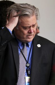 Steve Bannon Sucks
