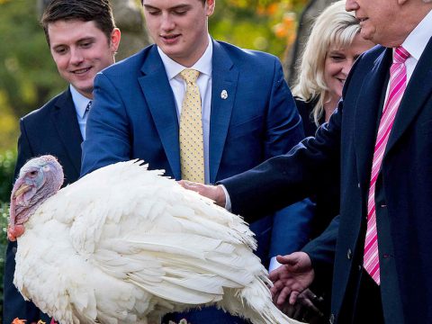 Donald Trump Pardons Turkey, Runs Afowl of the Internet