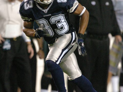 Terry Glenn Image