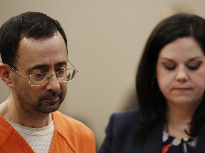 Dr. Larry Nassar Image