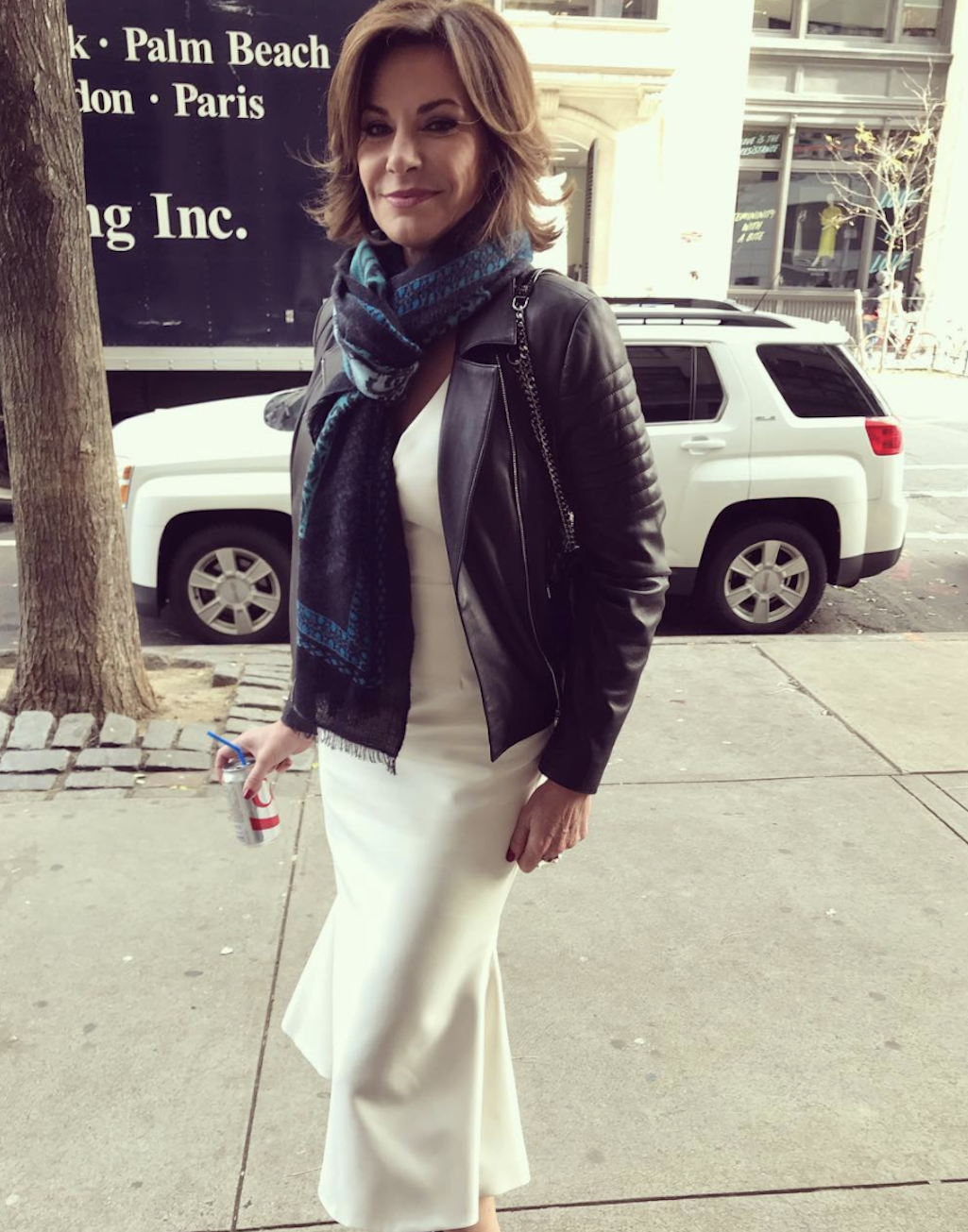 Luann de Lesseps image - The Hollywood Gossip