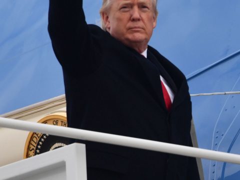 The Donald Waves