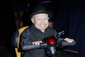 Verne Troyer Image