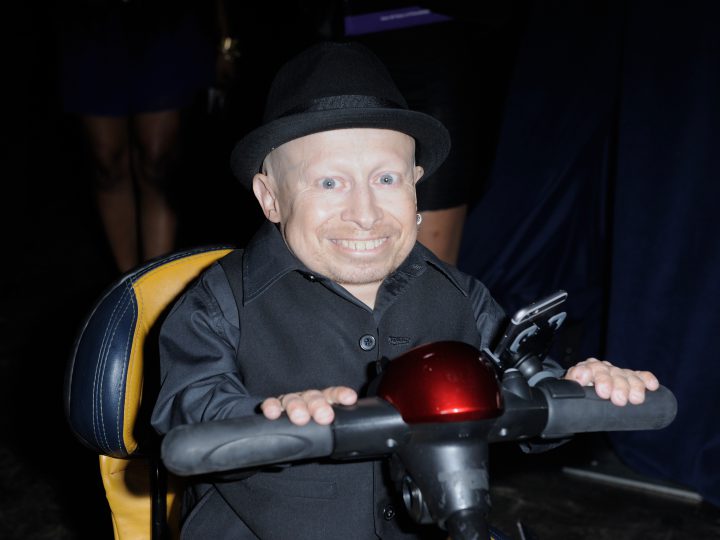 Verne Troyer Image