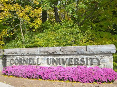 cornell