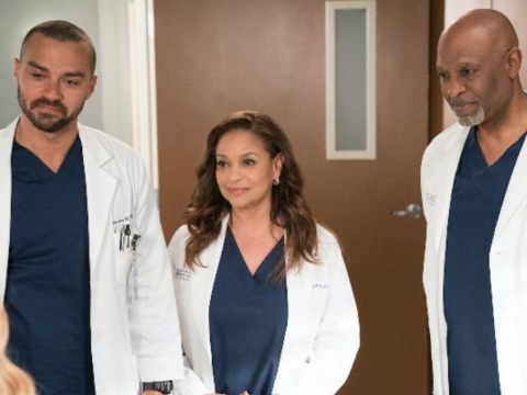 Jackson, Catherine and Richard on Grey's Anatomy Season 14 Episode 16