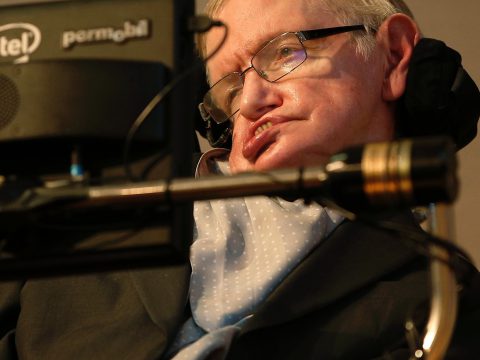 Stephen Hawking Photograph