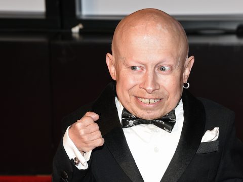 Verne Troyer image