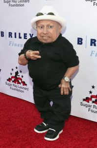 Verne Troyer is Dead