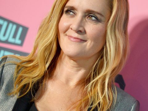 Samantha Bee Red Carpet Pic
