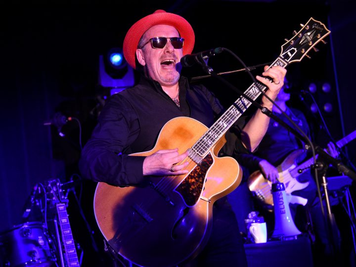 Elvis Costello Pic