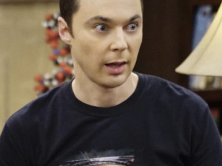 Jim Parsons as Sheldon