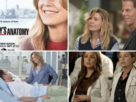15 Seasons Of Feels