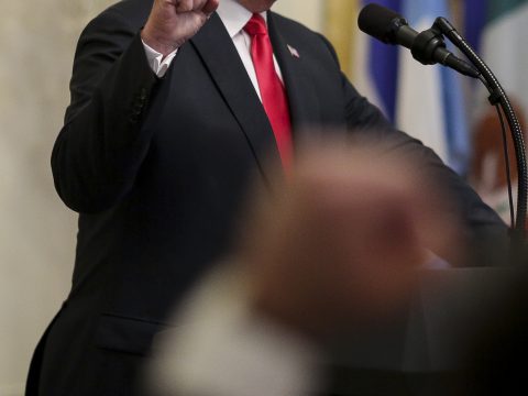 Donald Trump with a Fist