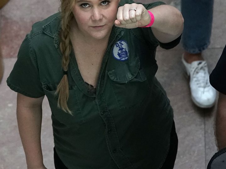 Amy Schumer Arrest Photo