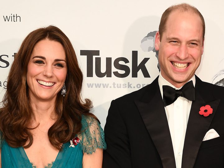 Kate Middleton and Prince William snapshot1