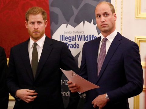 Prince Harry and Prince William, Royal Brothers