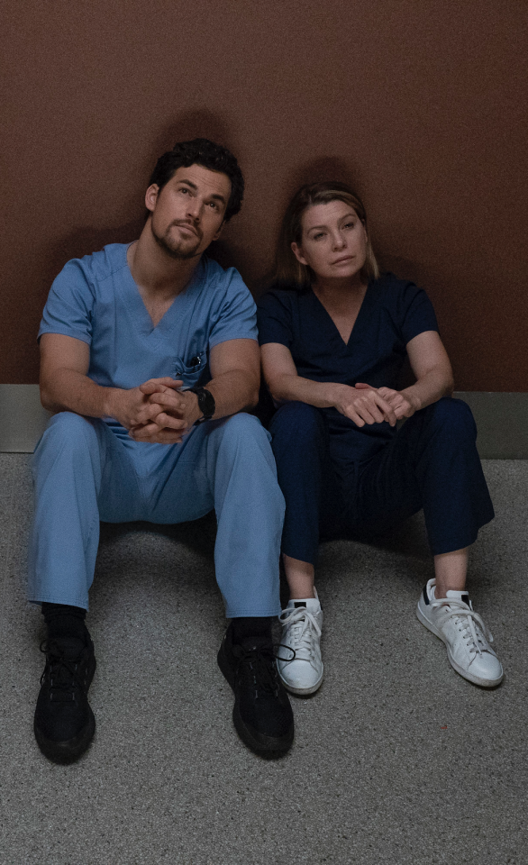 Grey's Anatomy Recap: Megan Hunt Returns!