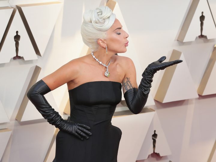 2019 Oscars Red Carpet: Who Wore It Craziest? (The Answer is #20)