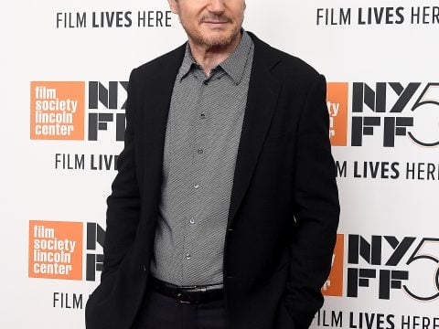 Liam Neeson Image