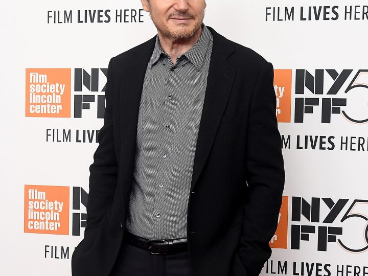 Liam Neeson Image