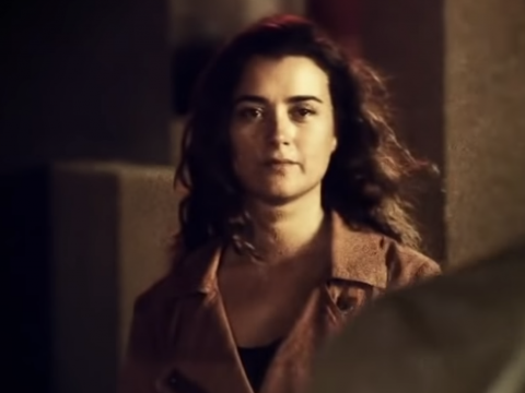 NCIS Teases "Biggest Secret" Ever: Will Ziva Return?!? - The Hollywood
