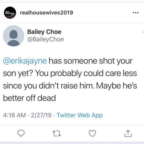 Erika Girardi receives hateful comment about son - The Hollywood Gossip