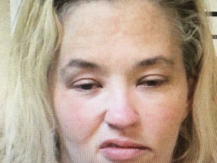 June Shannon Mugshot