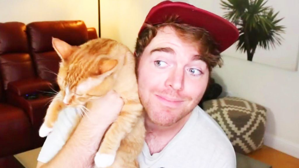 YouTube Star Swears He Didn't Have Sex with His Cat (But Is He Lying