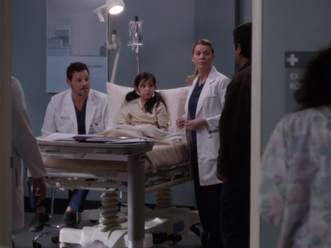 Meredith Makes a Move That Risks Her Career