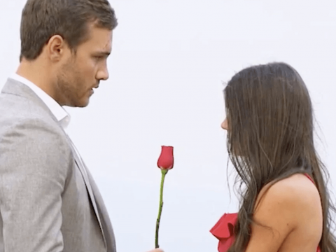 Rose for Madison