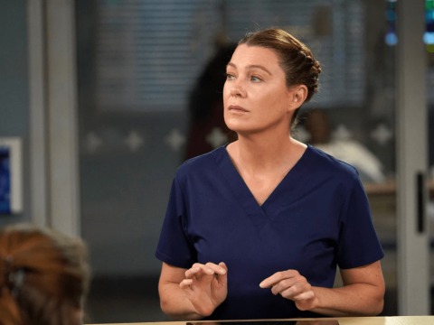 Meredith Grey Flirts