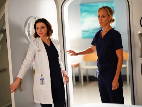 Teddy and Amelia on Grey's Anatomy