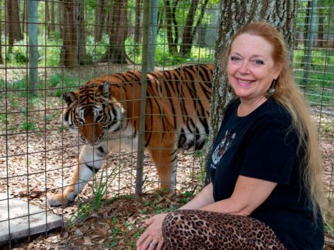 Carole Baskin And a Tiger