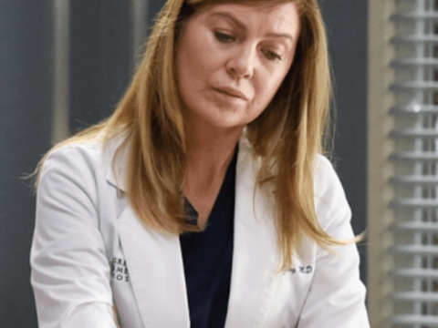 Ellen Pompeo on the Finale