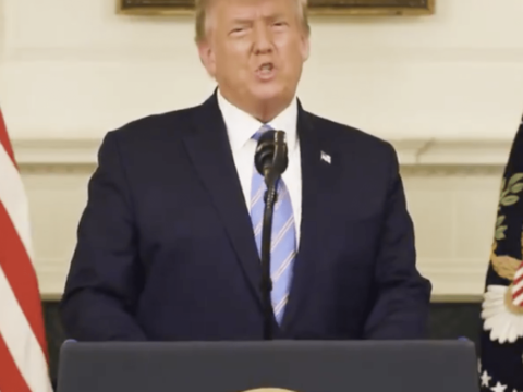 Donald Trump Video Pic