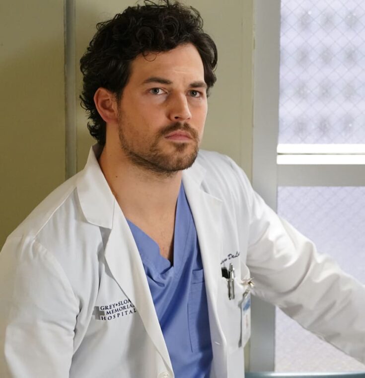 Grey's Anatomy Kills Off Yet ANOTHER Main Character - The Hollywood Gossip