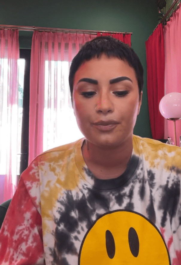 Demi Lovato Apologizes For Beefing With Frozen Yogurt Joint She Claimed