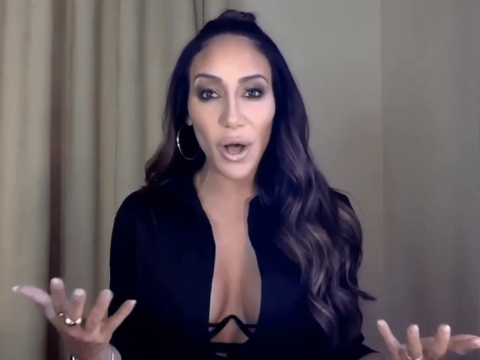 Melissa Gorga: Teresa Made Her Sex-Crazed Fiance's Scandal WORSE