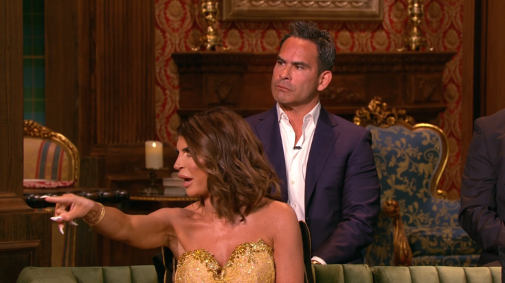 Dina Manzo Unfollows Teresa Giudice and Luis Ruelas AFTER Quashing Feud ...