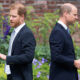 Prince Harry and Prince William attend an unveiling of a statue of Princess Diana.