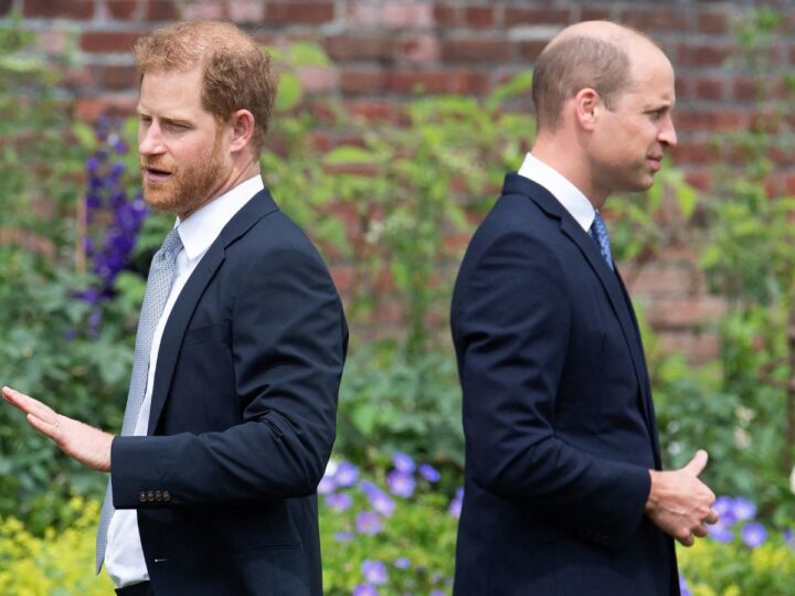 Prince Harry Snubs Brother William on London Visit: ‘No Plans’ To Reunite