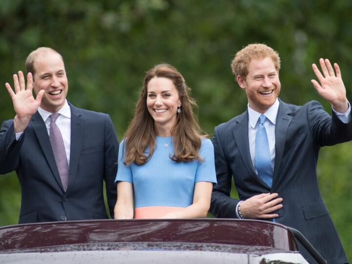 Prince William Makes Appearance Without Kate Middleton, Avoids Harry at Event Honoring …