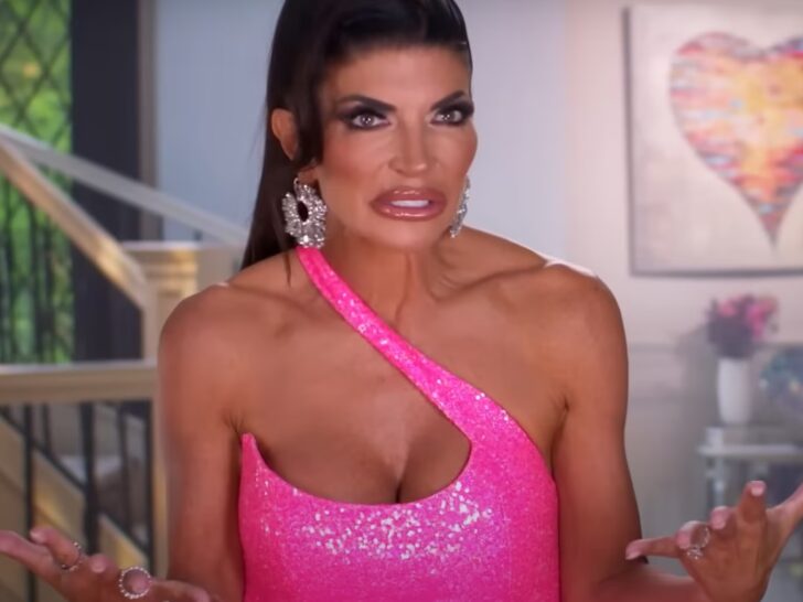 ‘Real Housewives of New Jersey’ Canceled: Are Teresa & Co. Done For …