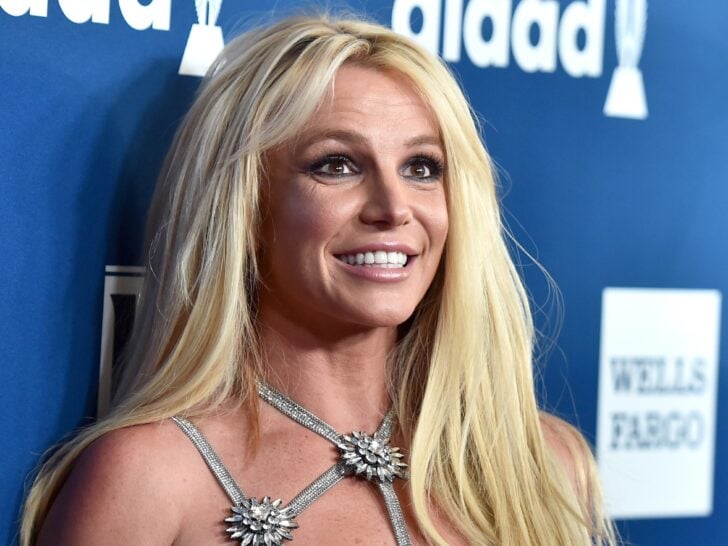Britney Spears Single – & Celibate?! Vows ‘Never’ To Be With Another Man