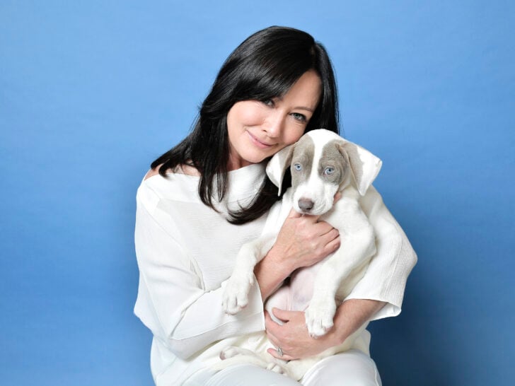 Shannen Doherty’s Last Interview Resurfaces Following Her Death: ‘It’s …