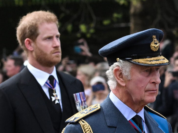 Prince Harry, King Charles No Longer on Speaking Terms Due to Security Detail Rift: Report