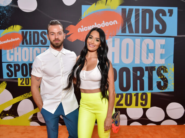 Nikki Bella Breaks Silence On Artem Chigvintsev’s Arrest: Her ‘Private’ …